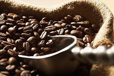 TGA：多人游戏《德州电锯杀人狂》最新预告公布