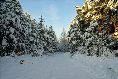 《英灵神殿》冰霜洞穴上线 单人模式现可暂停游戏