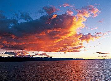 Switch 2首发游戏《马里奥赛车：世界》直播展示